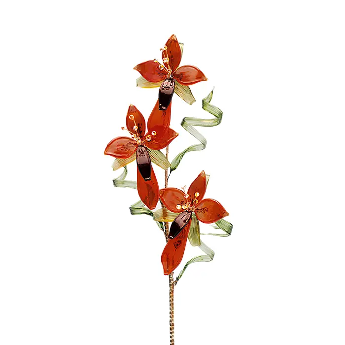 Glass Flower Masdevallia Orchid