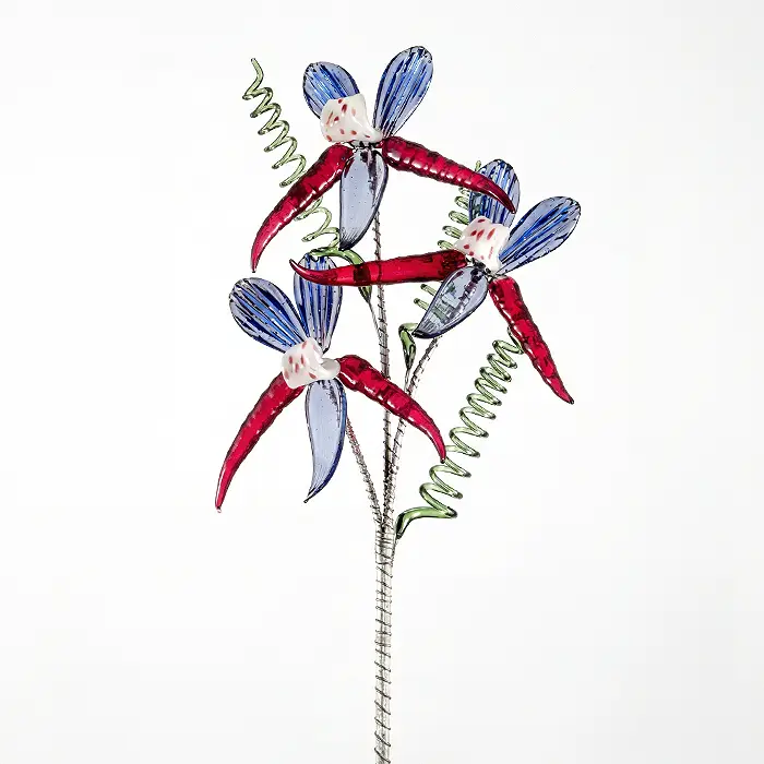 Glass Flower - Orchid