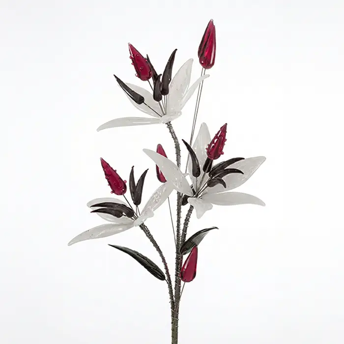 Glass Flower - Ornamental Allium