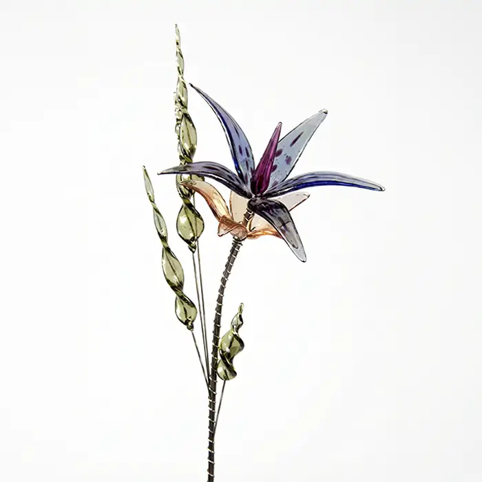 Glass Flower - Orchid Phalaenopsis