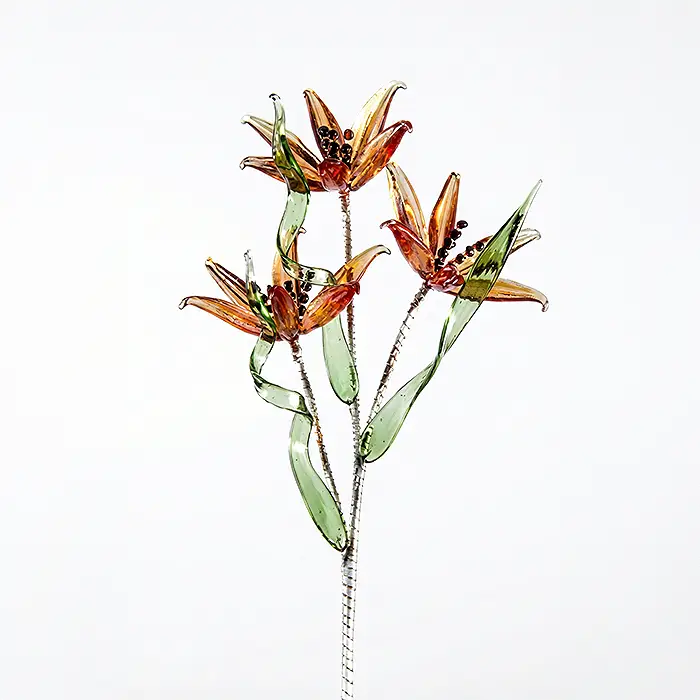 Glass Flower - Coneflower